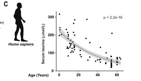 what taurine dosage in humans would be optimal for anti-aging? : r/ScientificNutrition