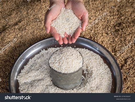 137,834 Hand And Rice Images, Stock Photos & Vectors | Shutterstock