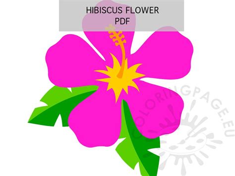 printable hibiscus flower template flower templates printable flower template royal icing ...