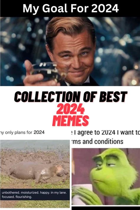 Collection of the Best 2024 MEMES - Guide For Geek Moms