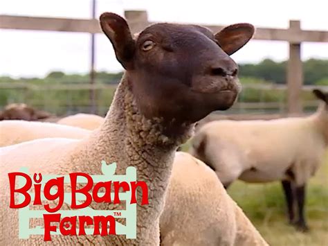 Watch Big Barn Farm | Prime Video