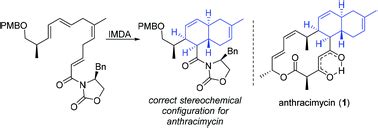 A chiral auxiliary-based synthesis of the C5–C17 trans-decalin ...