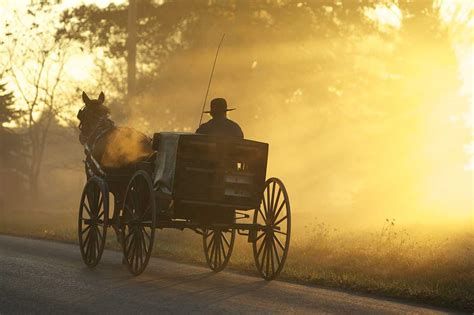 Tour Amish Farms and Houses | Visit Amish Country Ohio