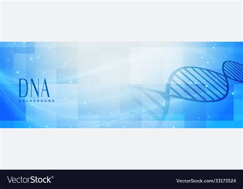 Medical science dna structire banner design Vector Image