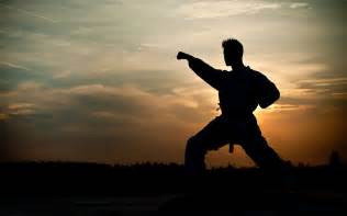 Wat is Wado Ryu Karate precies?