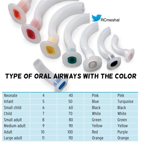 Oropharyngeal Airway Measurement