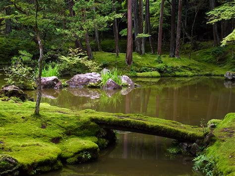 Moss Garden Kyoto - World of Wanderlust