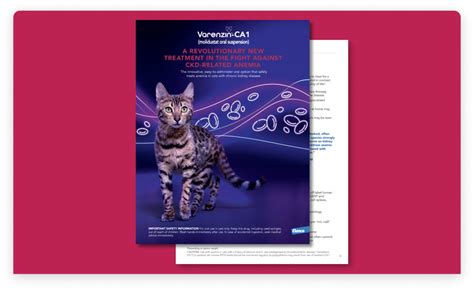 Varenzin™-CA1 for cats | Manage CKD-related anemia