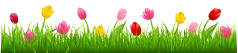 Grass with Colorful Tulips PNG Clipart | Flower border, Clip art, Flowers