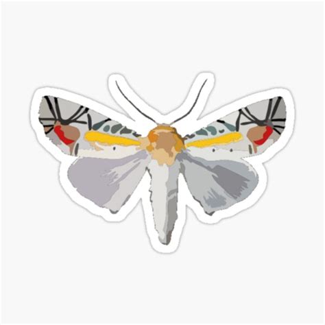 "Picasso Moth Digital Painting" Sticker for Sale by gktb | Redbubble