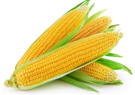 Sweet Corn