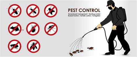 Troubled with bedbugs? At Execute Pest Control, we offer you a ...