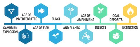 Paleozoic Era: Diversification of Life (540 to 252 million years ago) - Earth How