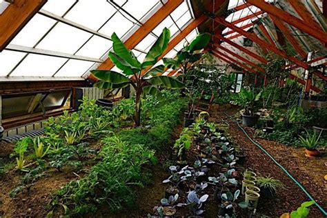 Build A $300 Underground Greenhouse "Walipini" That Grows Food Year ...