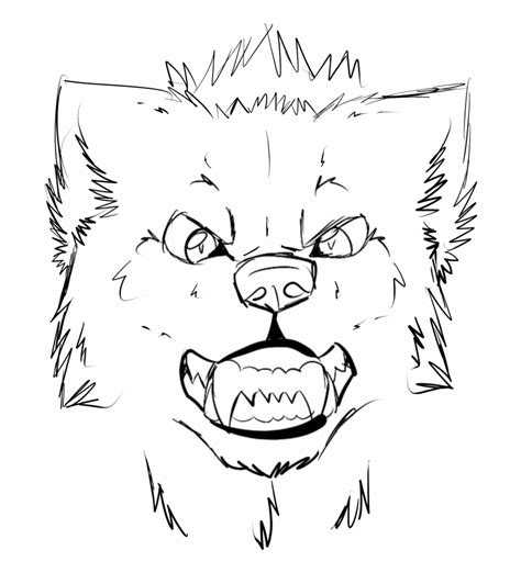 angry: View Angry Wolf Face Drawing Pictures
