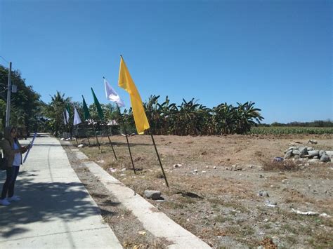 Titled Residential Lot For Sale Mapandan Pangasinan. on Carousell