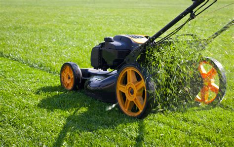 What Is The Best Height To Cut Your Grass? | Australian Seed and Turf