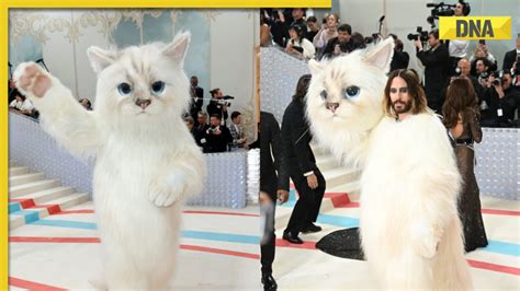 Met Gala 2023: Jared Leto arrives in giant furry cat costume, fans say ‘bro thought it's a ...