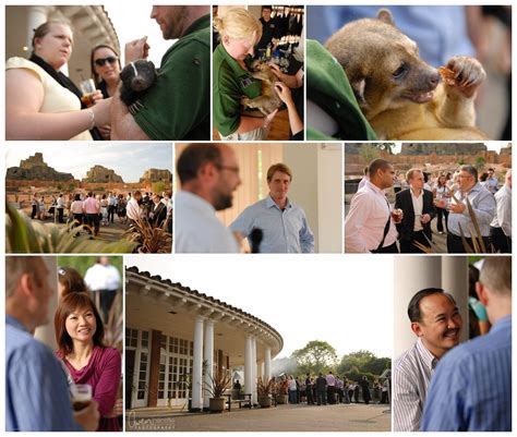 A Corporate Event at London Zoo • owen billcliffe photography