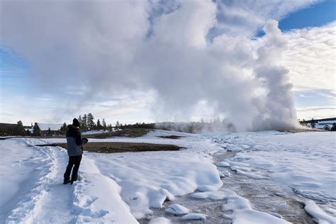 Experience Yellowstone Tours in the Winter