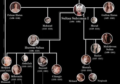 Selim I Family Tree