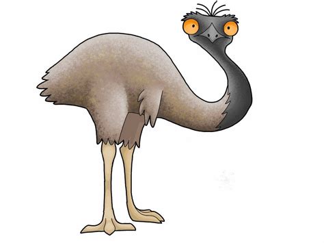 Free Emu Clipart Freeimages Clip Art Library - vrogue.co