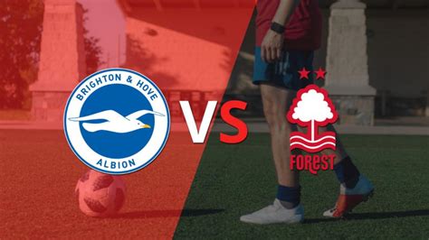 Brighton Vs Nottingham Forest Predictions and H2H Stats