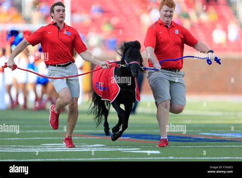 Smu mustangs football 2015 hi-res stock photography and images - Alamy