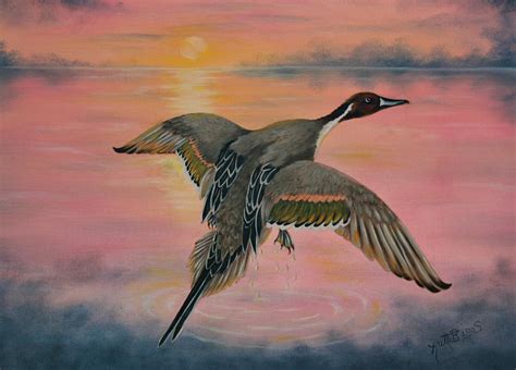 Pintail Duck Painting by Ruth Bares