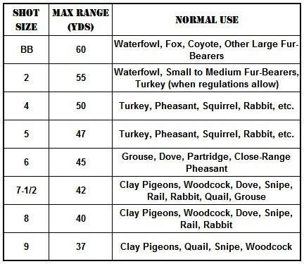 Understanding Shot