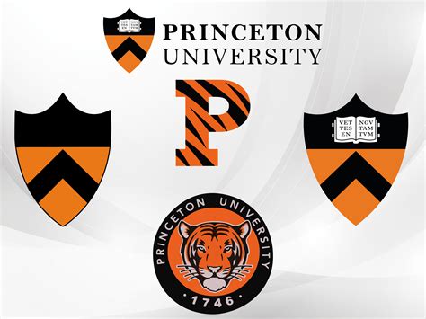 Princeton University Embroidery Design - Etsy