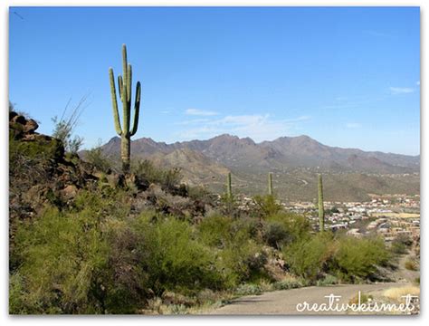 A hike up Tumamoc Hill | Regina Lord of Creative Kismet