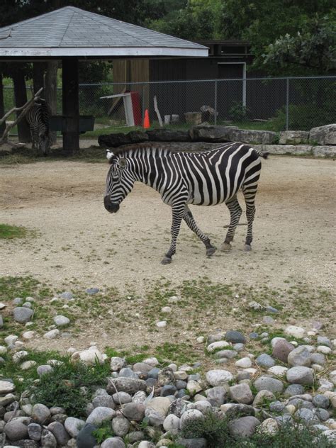 The Ineck Family: The Winnipeg Zoo