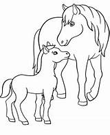 Coloring Horse Colt Pages sketch template