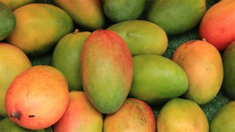 Ask The Pharmacist: Mangoes are magnificent, unless you’re allergic