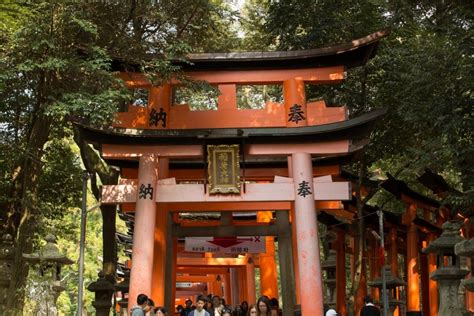 10 Awe-Inspiring Torii Gates in Japan | Celebrity Cruises