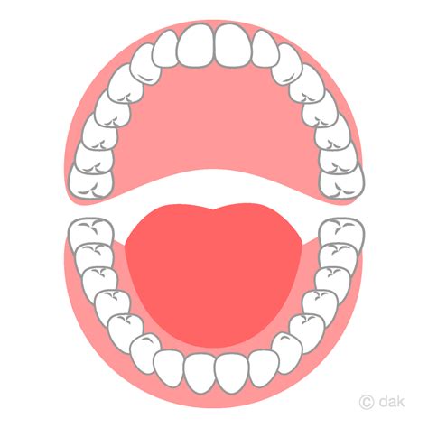 Open Mouth Tooth Clip Art Free PNG Image｜Illustoon