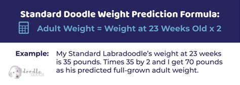 Springerdoodle Size Chart With 1,000+ Weight Data Points - Doodle Doods