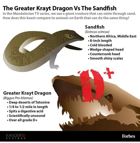 Star Wars Science: No, Krayt Dragons Cannot Swim In The Sands Of ...