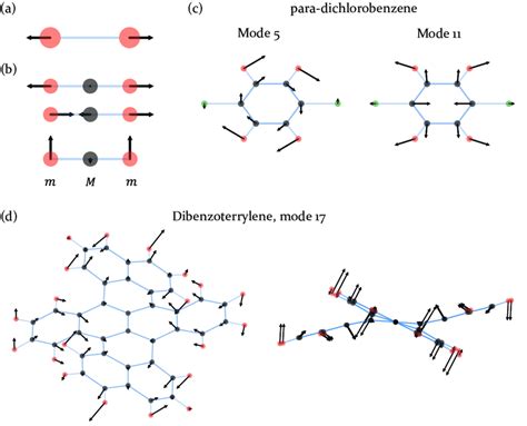 1: Normal modes of molecules with increasing complexity. (a) Diatomic... | Download Scientific ...