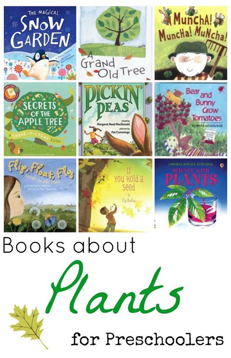 Books about Plants for Preschoolers | Kindergarten books, Plants kindergarten, Plant activities