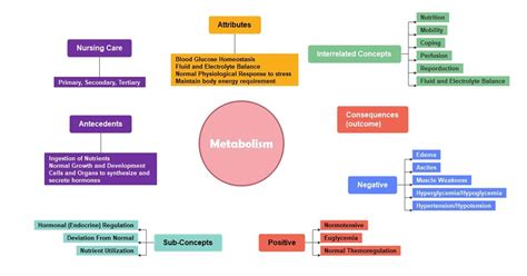 Metabolic Pathways Concept Map