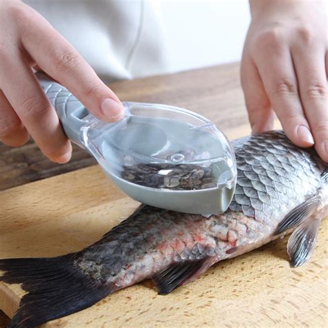 Multifunctional Fish Clean Scales Fish Killing Knife Scraping Scale with Clear Cover Fish Scaler ...