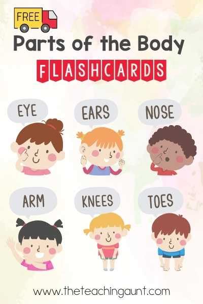 Free Parts of the Body Flashcards - The Teaching Aunt - Worksheets Library