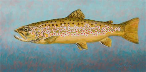 Brown Trout, Lloyd Kelly, 12x24 oil on canvas, The Brinton Museum | Brown trout, Animal art, Oil ...