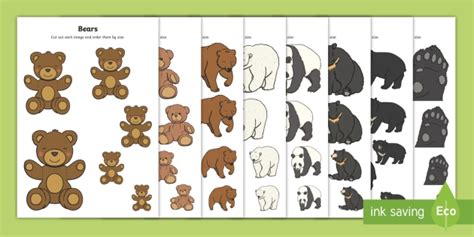 Bear-Themed Size Ordering (teacher made)