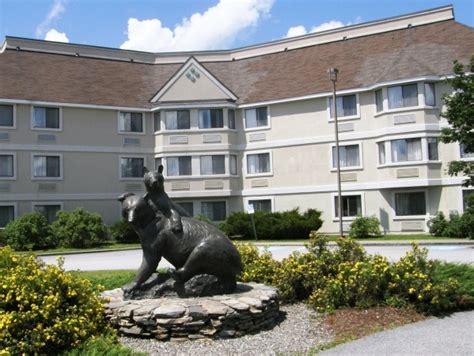 Orono Maine Hotel: Black Bear Inn Conference Center & Suites | Maine ...