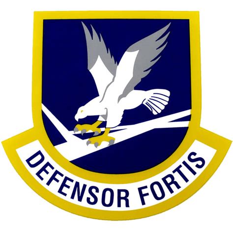 Defensor Fortis Air Force Security Force Clear Decal | USAMM