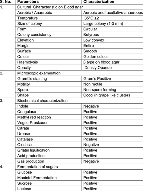 Characterization of the Staphylococcus sp. using colony morphology,... | Download Scientific Diagram