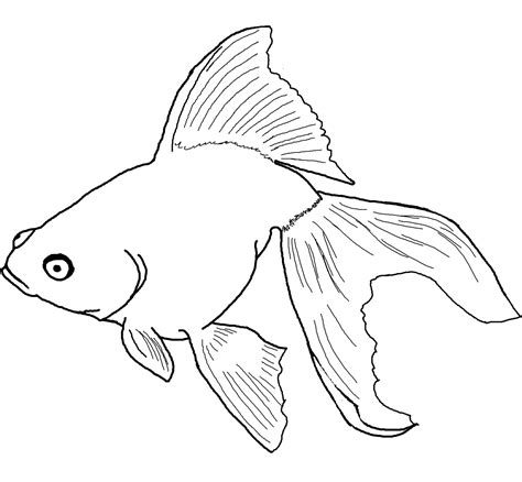 Cartoon Fish Coloring Pages at GetColorings.com | Free printable ...